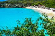 开云APP-西雅图海湾者小将表现抢眼，劲旅添新力量