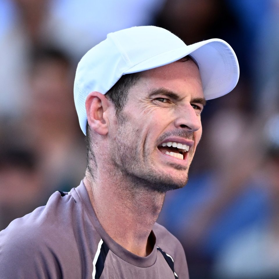 澳网绝杀戴维斯杯，穆雷点燃赛场