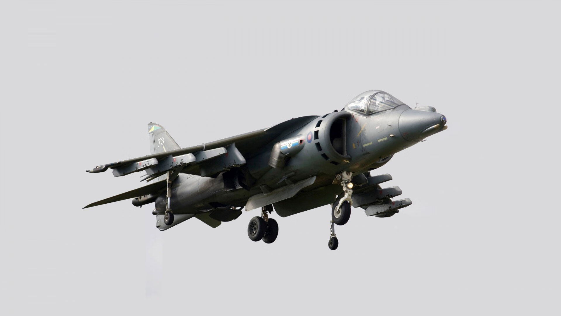 东契奇驾驭大舞台，开拓者与广东队的跨界对决展现王者风范