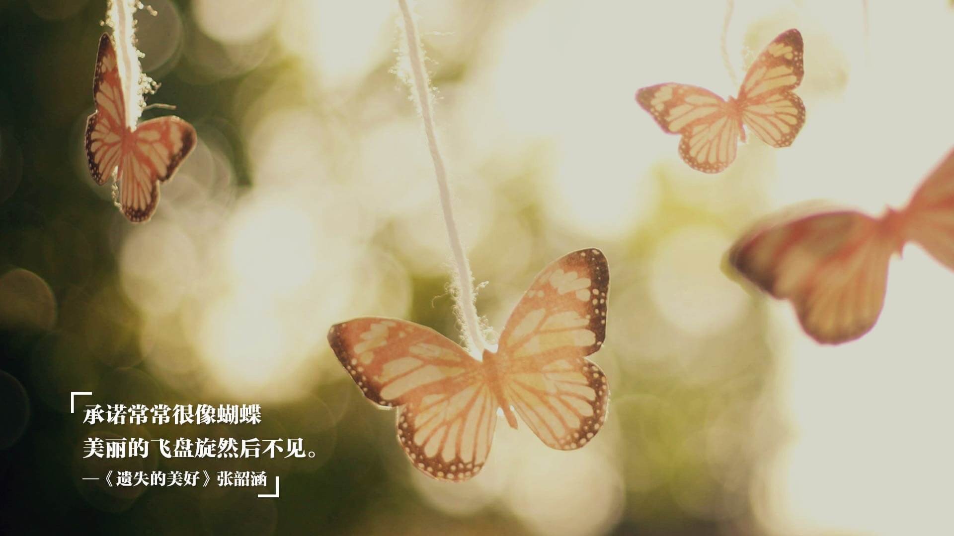 霍勒迪稳如磐石持续输出，湖人主场大胜步行者