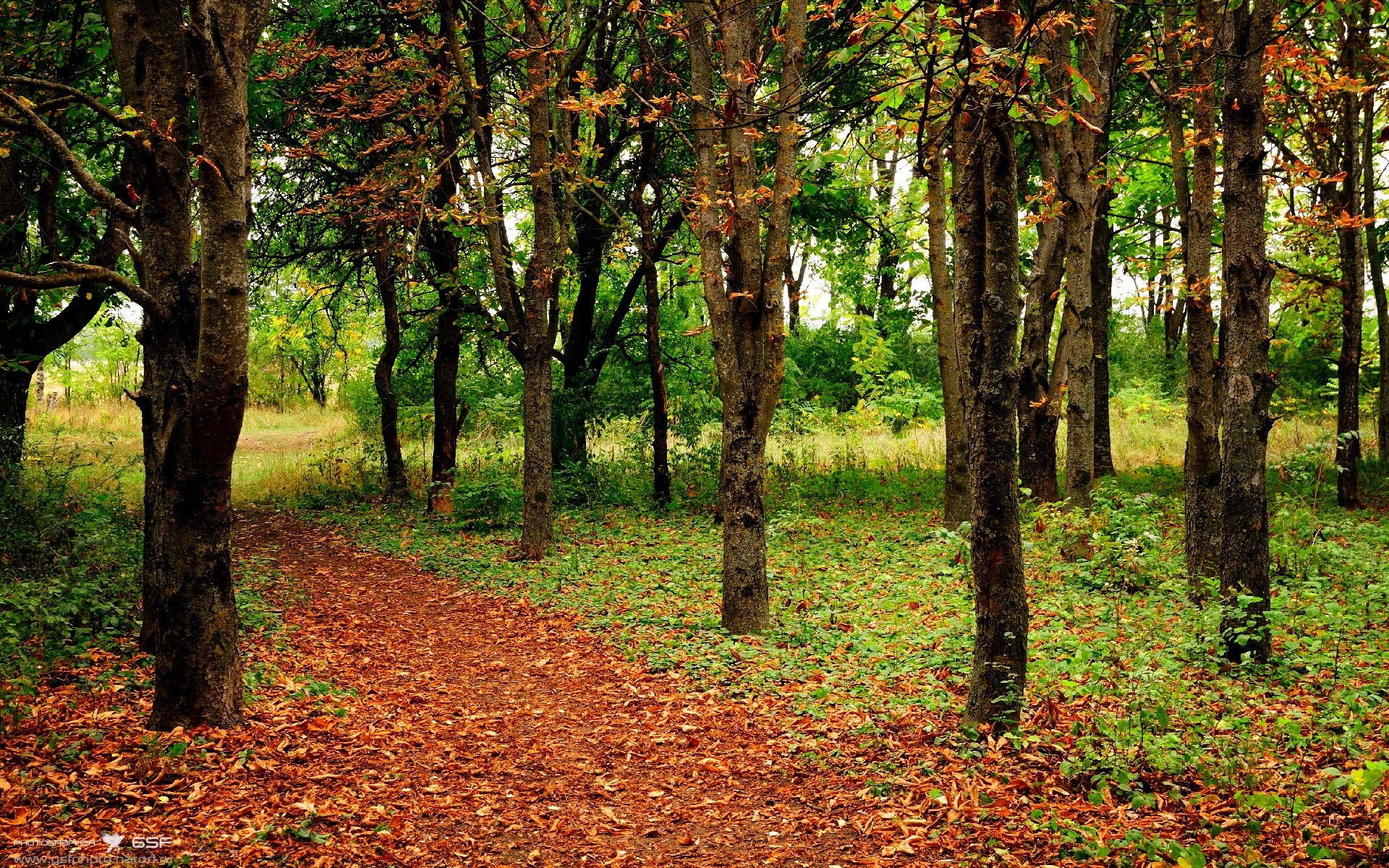 冰与火之歌,克罗地亚撕裂南非防线,格列兹曼谱写关键先生传奇