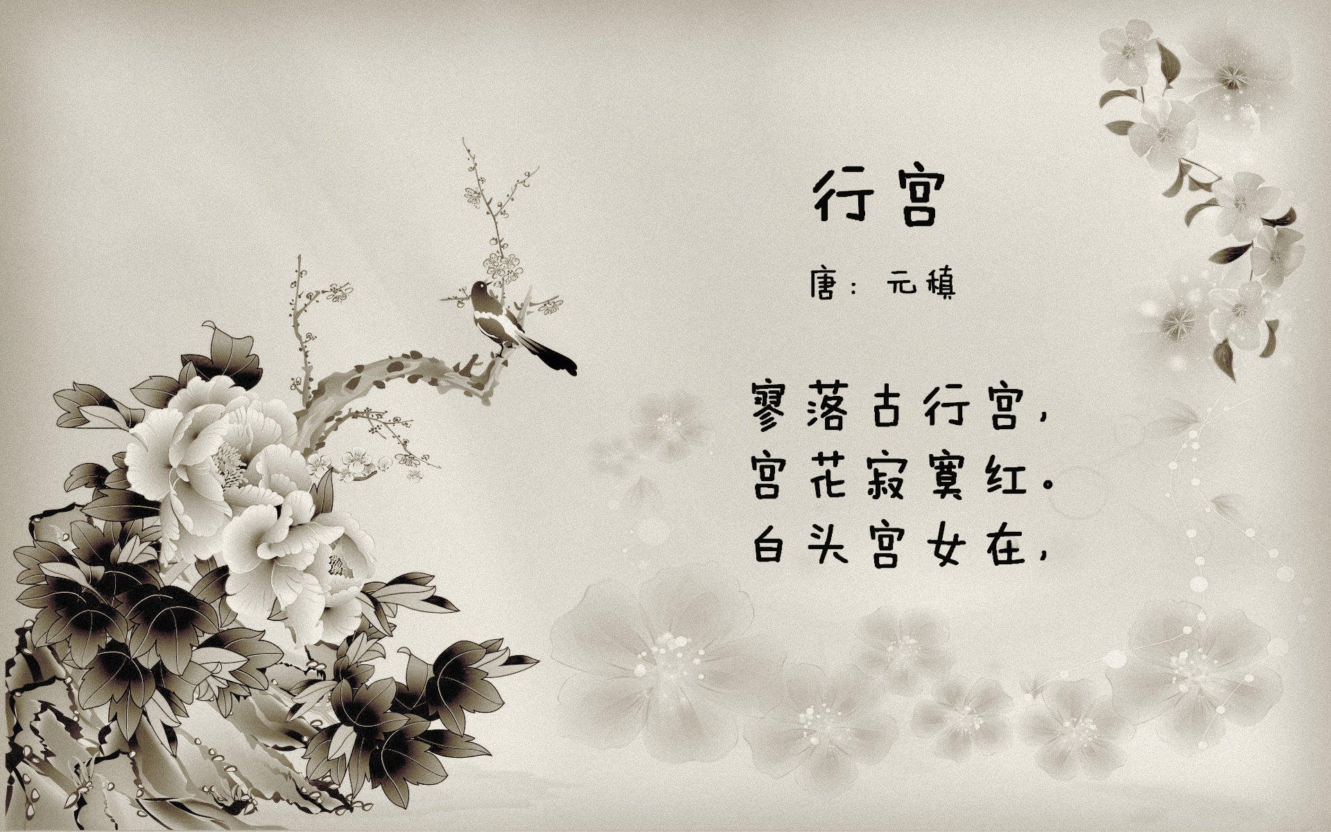 穆勒成为胜负手,澳大利亚战术洪流冲垮中国长城