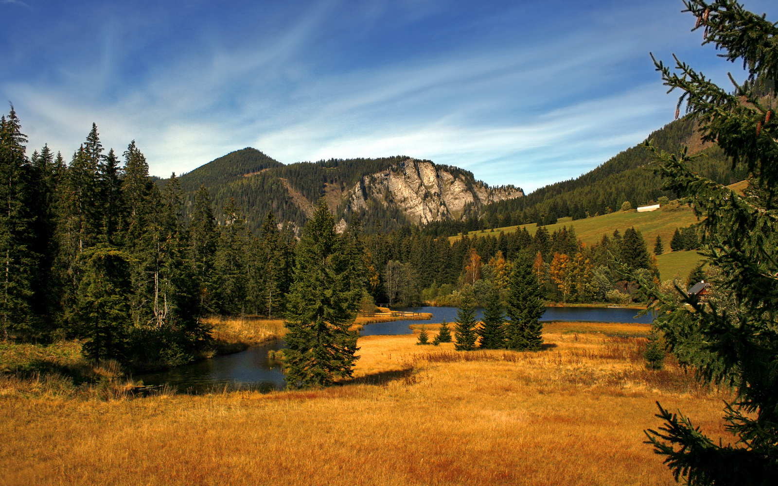 末节超神!浓眉独砍20分接管比赛,开拓者三核发力全面压制森林狼