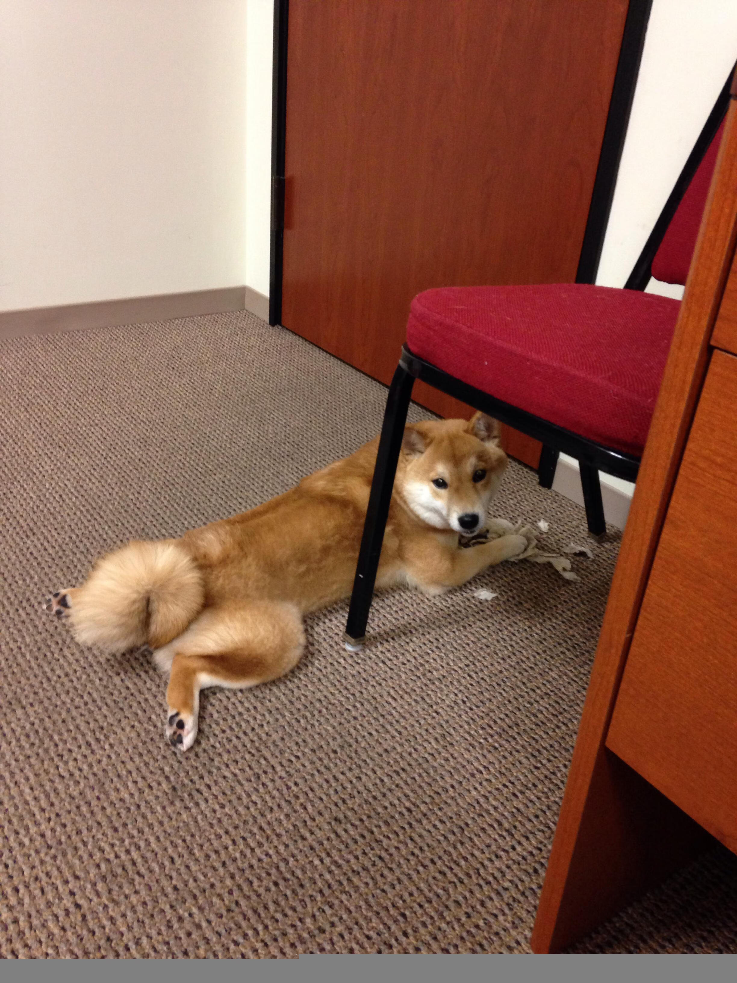 詹姆斯28+9主宰末节,热火强势晋级斩落老鹰