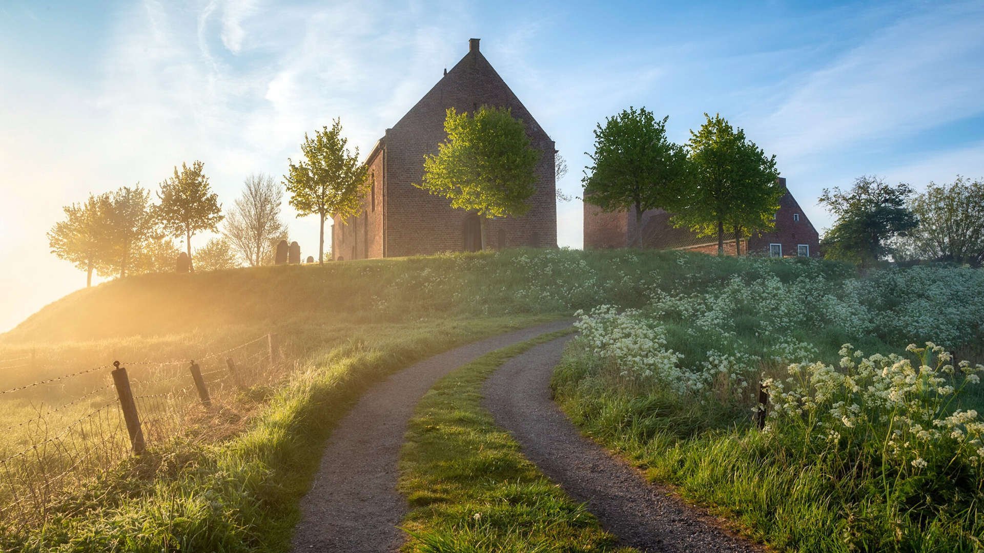 黄蜂连击狂潮压制独行侠，马克西关键先生闪耀全场