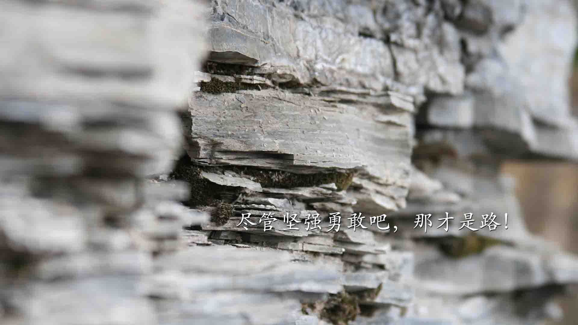 从沉默刺客到绿茵核弹,英格拉姆撕裂2026世界杯之夜