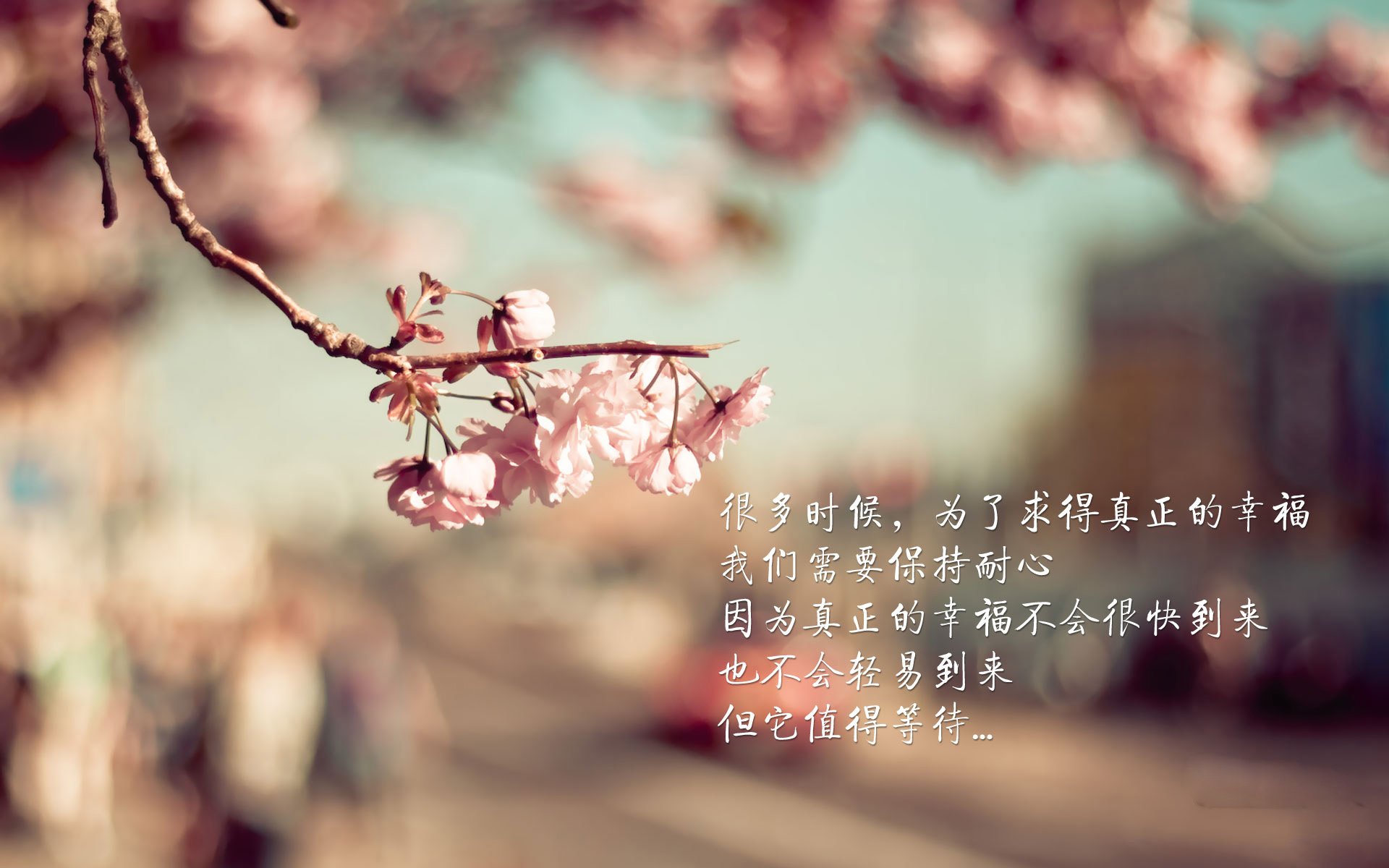 萨拉赫关键制胜,安哥拉险胜乌克兰—一场跨越洲际的足球盛宴