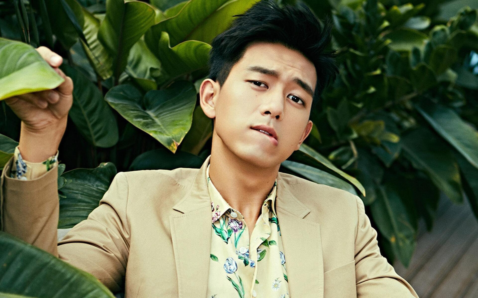 浓眉统治绿军禁区，一场现代中锋的攻防教学